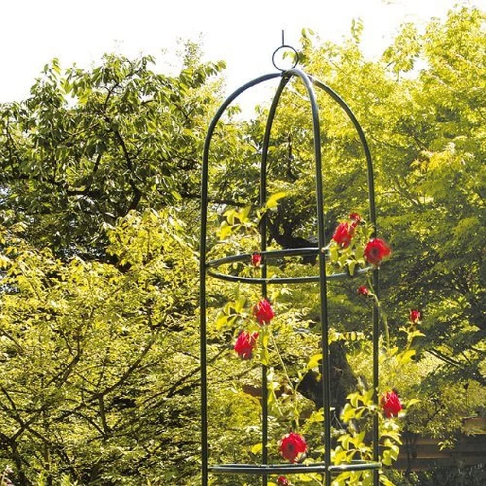 Supporto per Piante Rampicanti Obelisco Piramide da Giardino Altezza 1